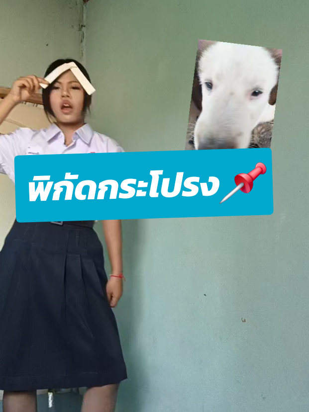 @เนโกะ🎐