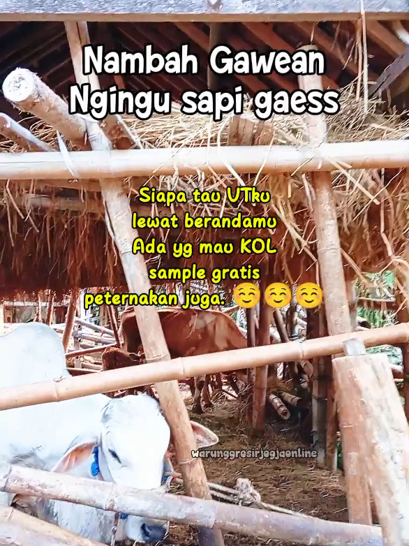 @warung grosir jogja online