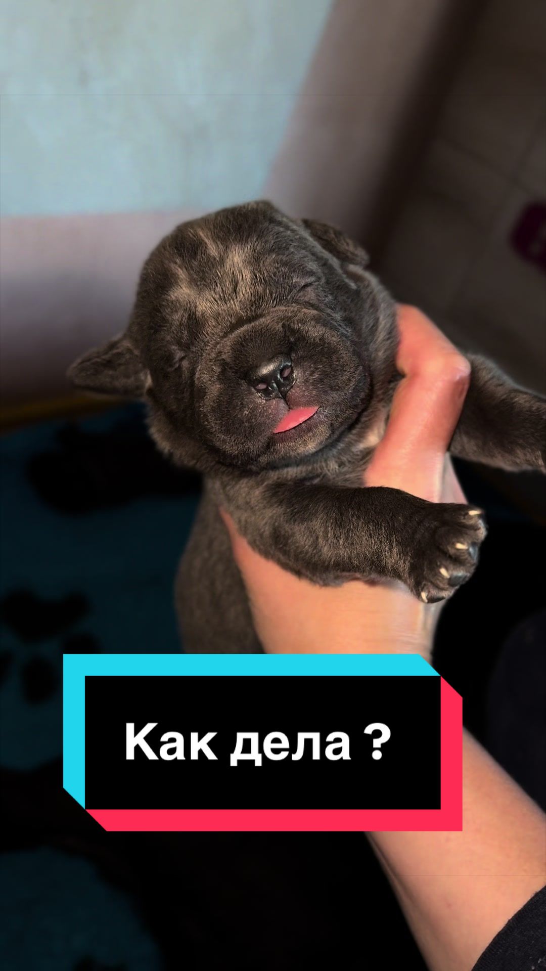 @Infinity Glory 🇺🇦