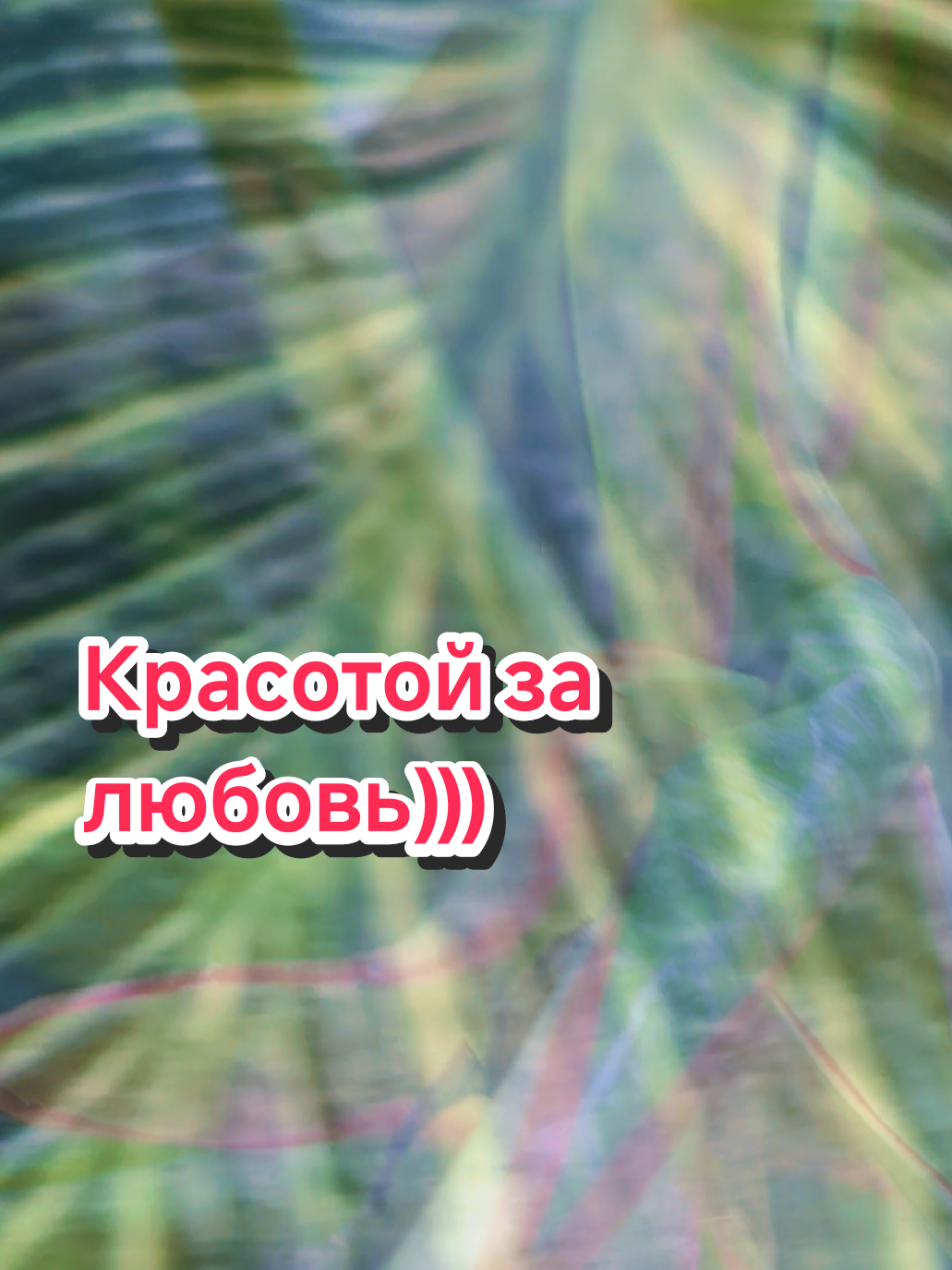 @kri_ma_photo