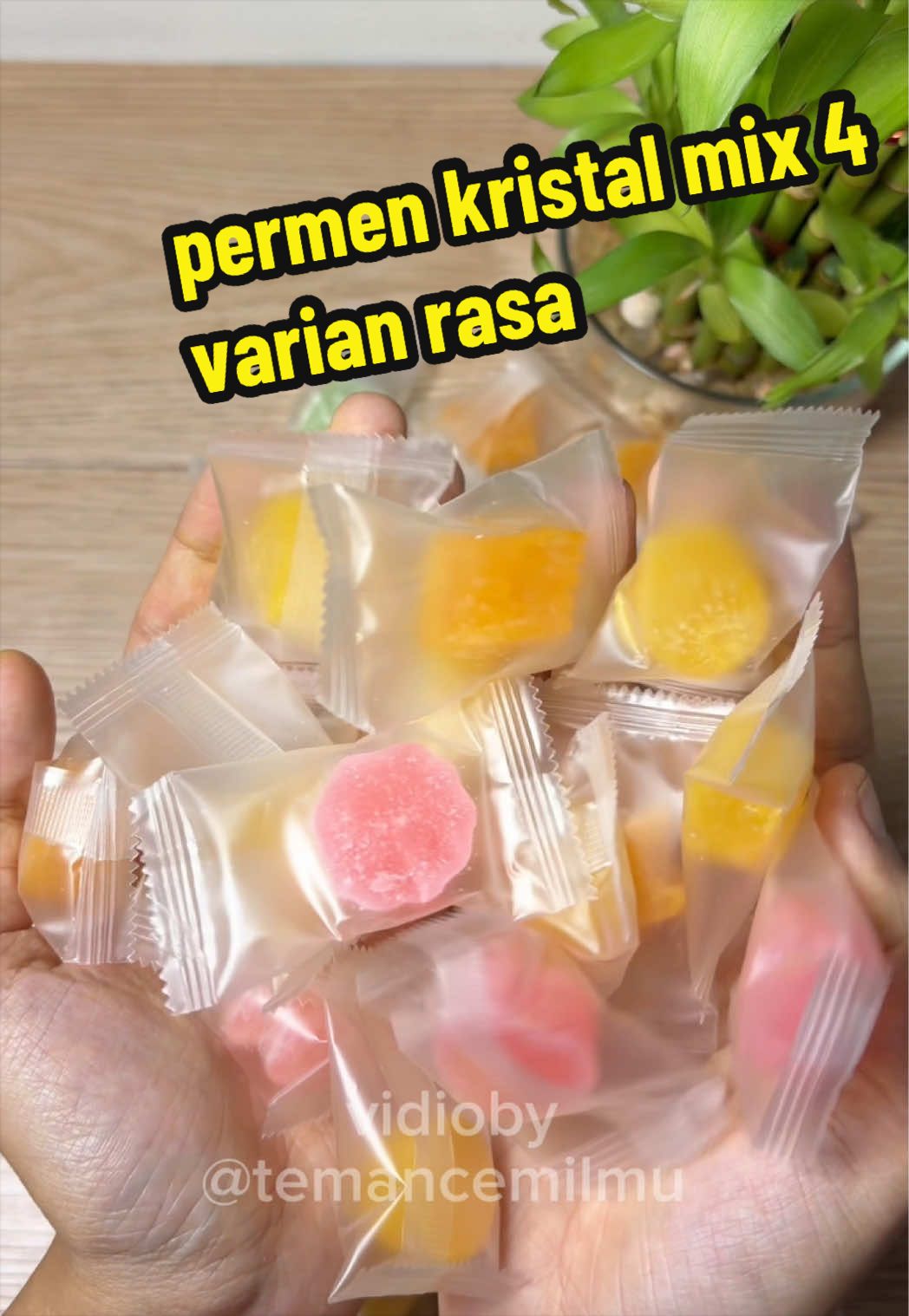 @Putri cull🍀