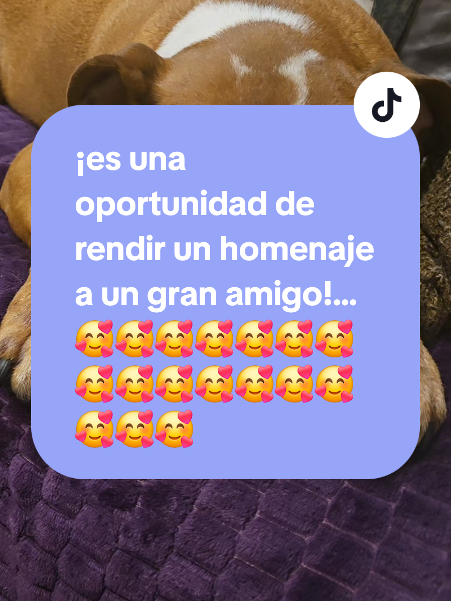 @edith rubiano