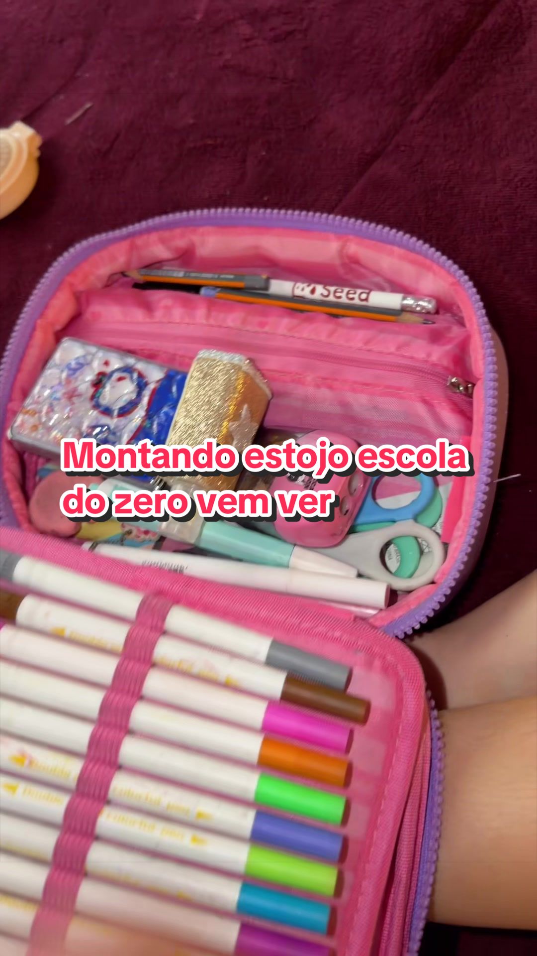 @Clarinha Encantada 🎀