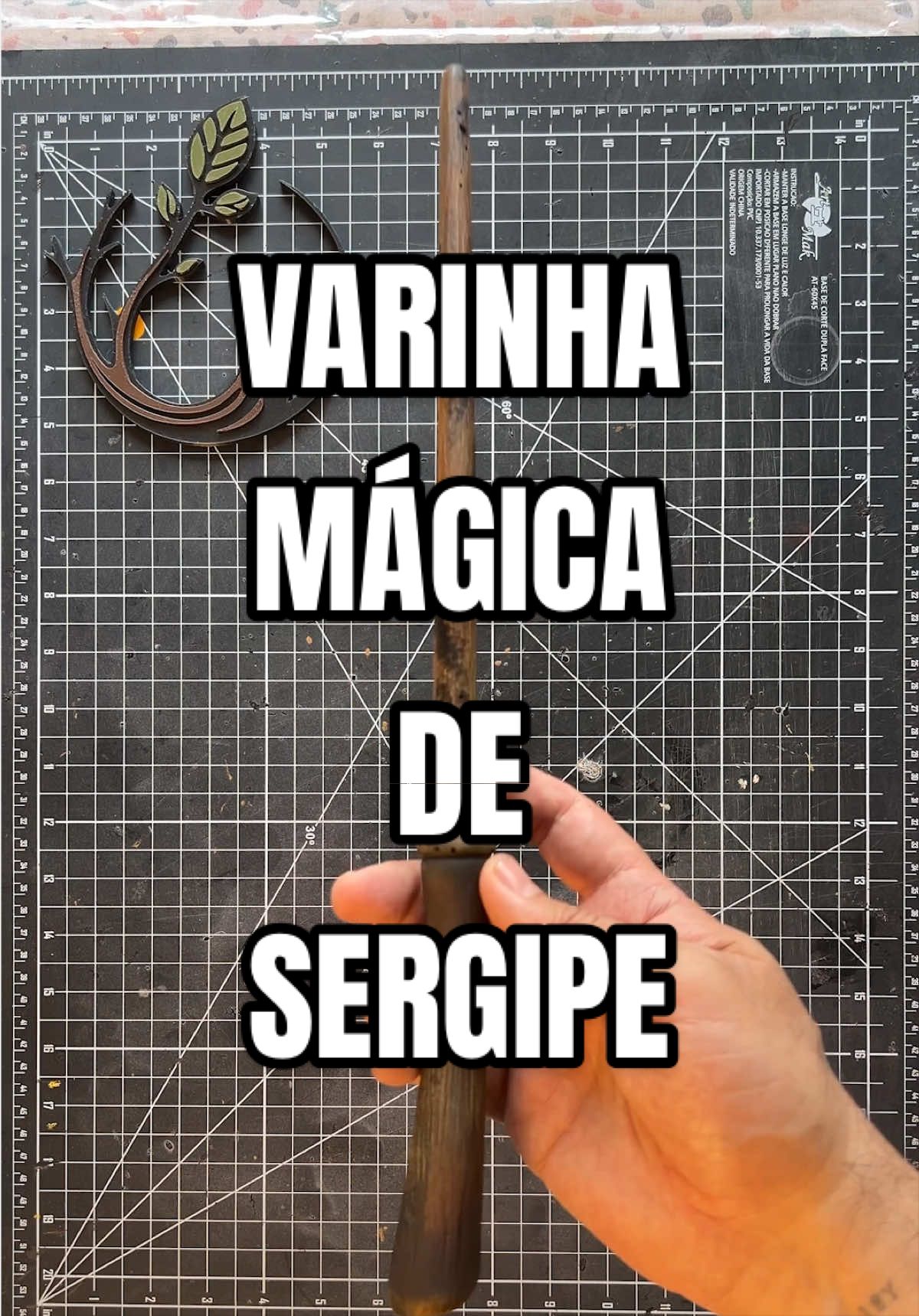 @Kaio Medau
