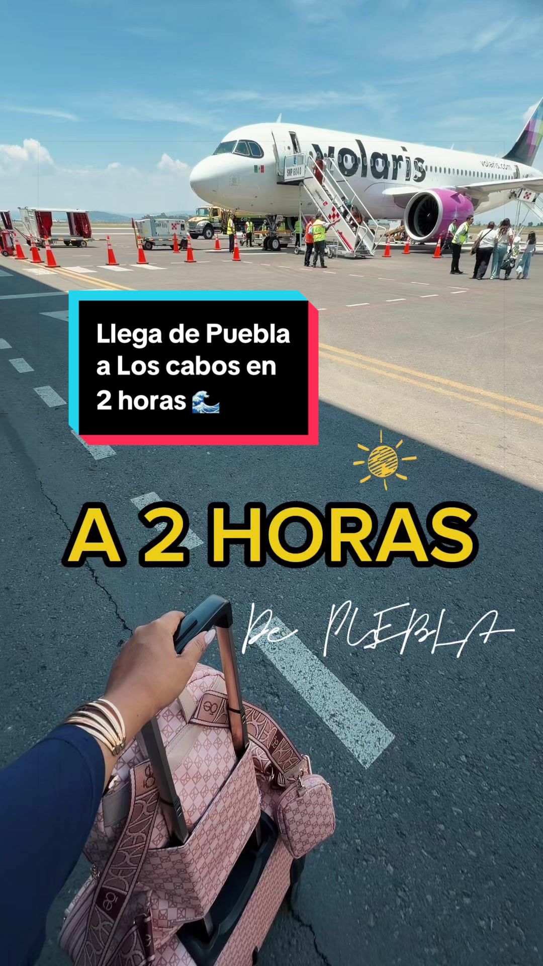 @Rocío Carbente (reportera🎤)