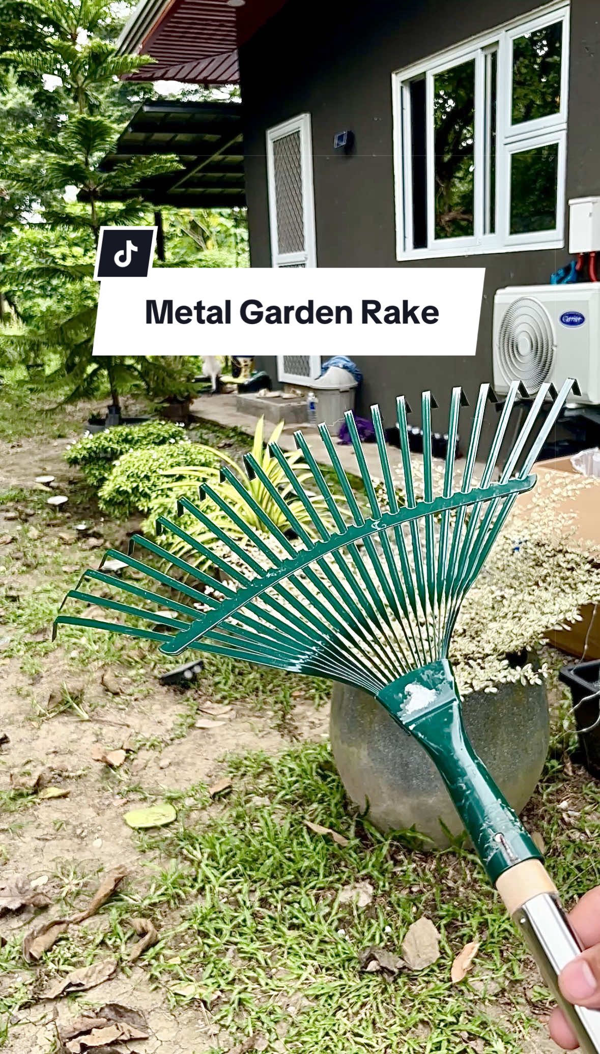 @Thomas Javier
