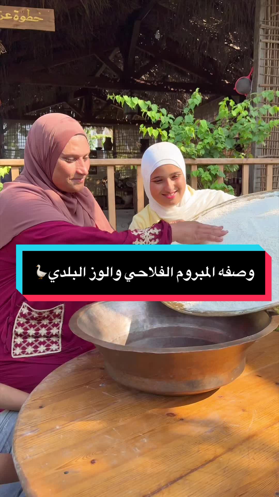 @habiba.baaqa