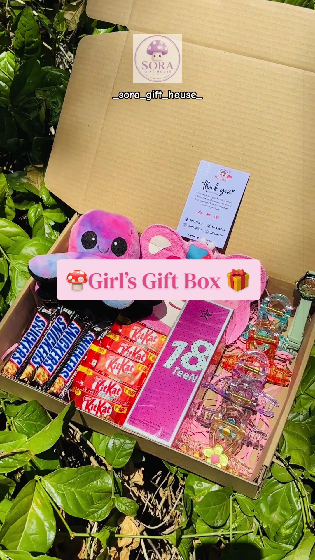 @Sora Gift House 🍄💜