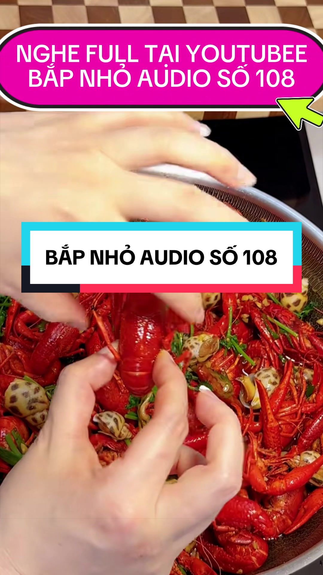 @BẮP NHỎ AUDIO