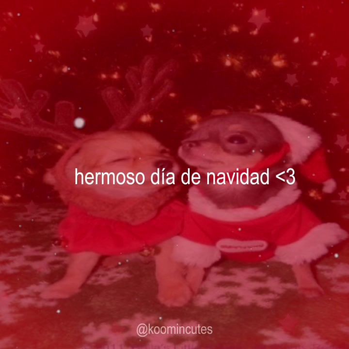 @jmcy 🍞