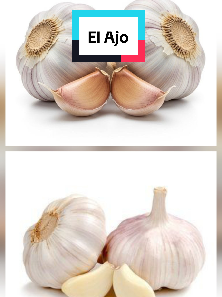 @𝐉𝐨𝐬𝐲