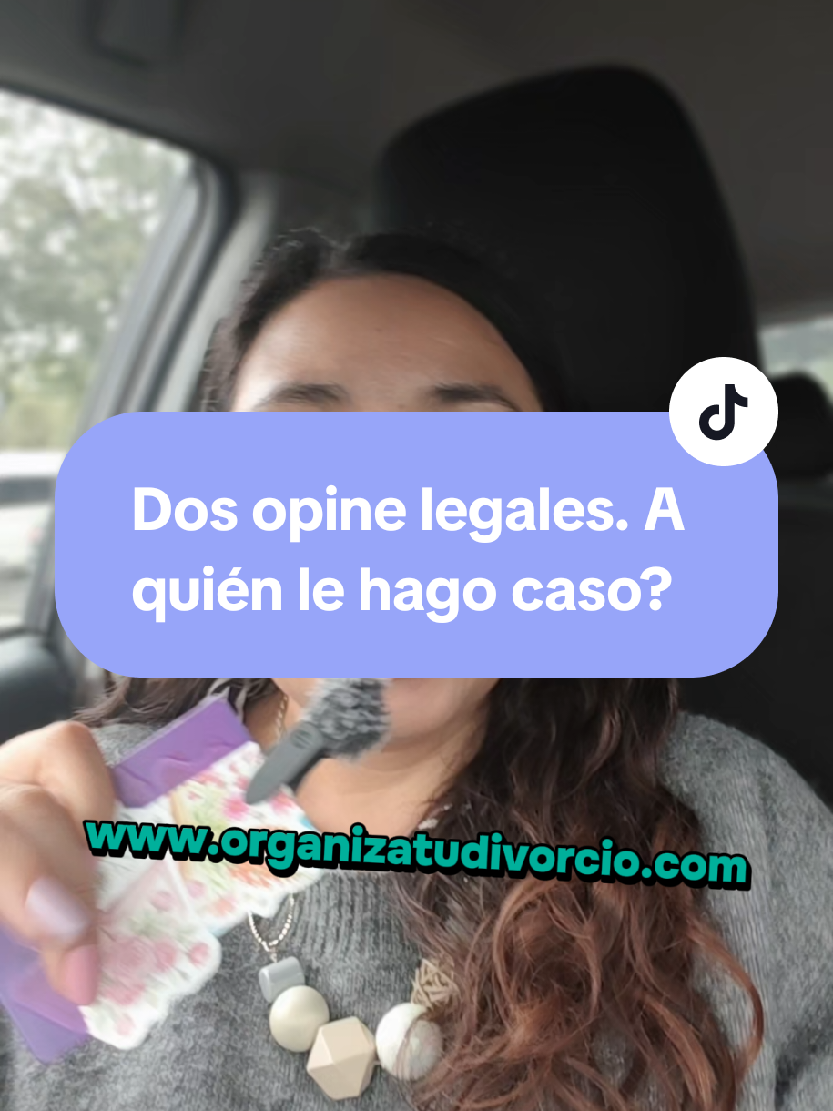 @organizatudivorcio