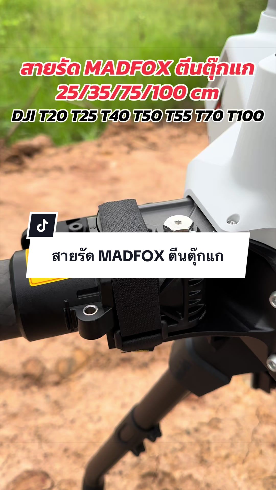 @อาเฮียหลี อาหลีเฮีย