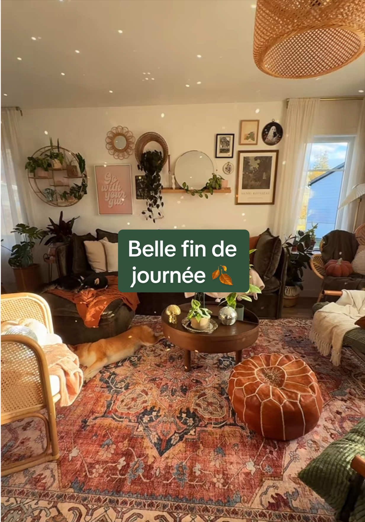 @Laura | Plants & Home decor