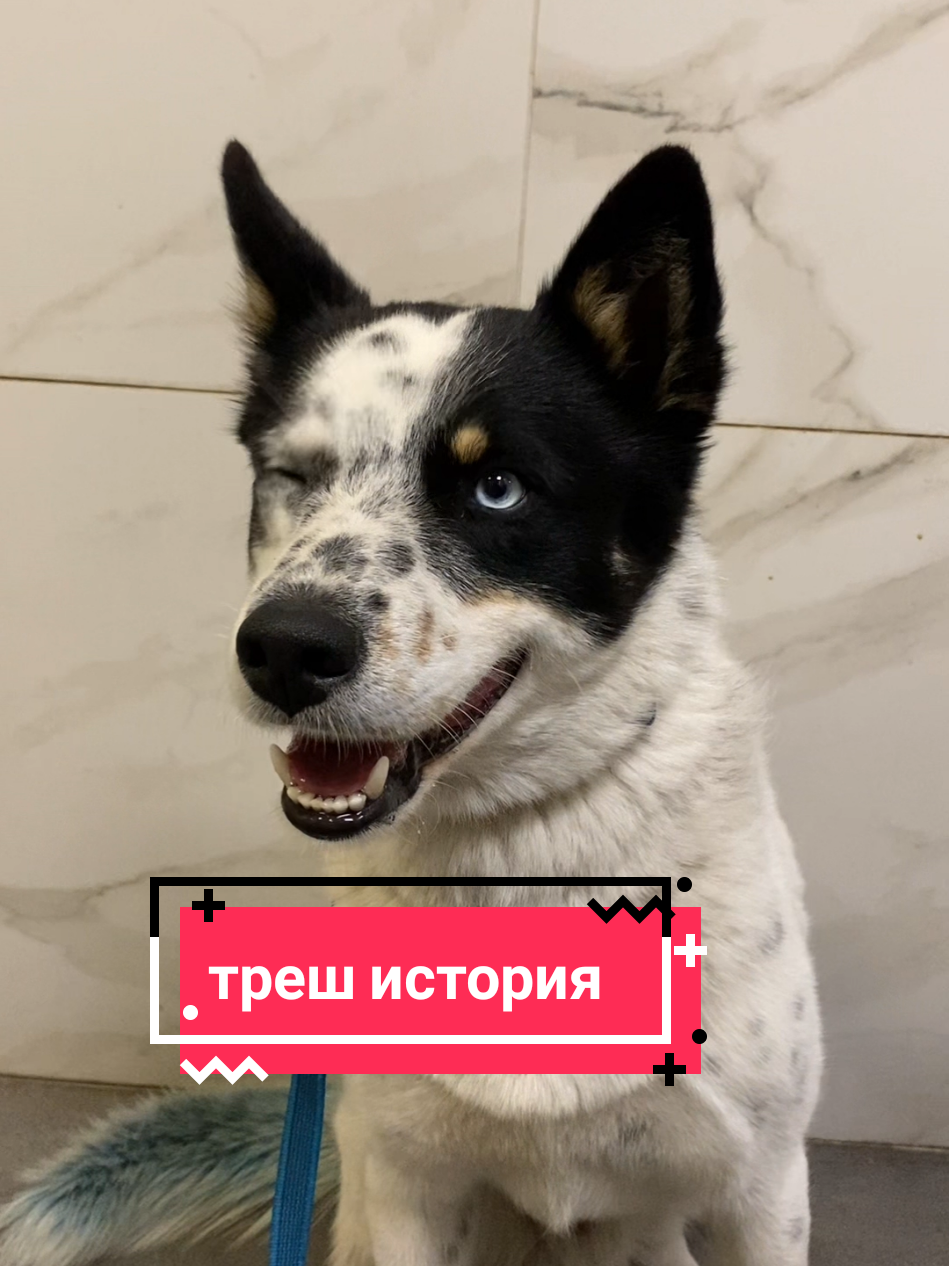 @Калыван
