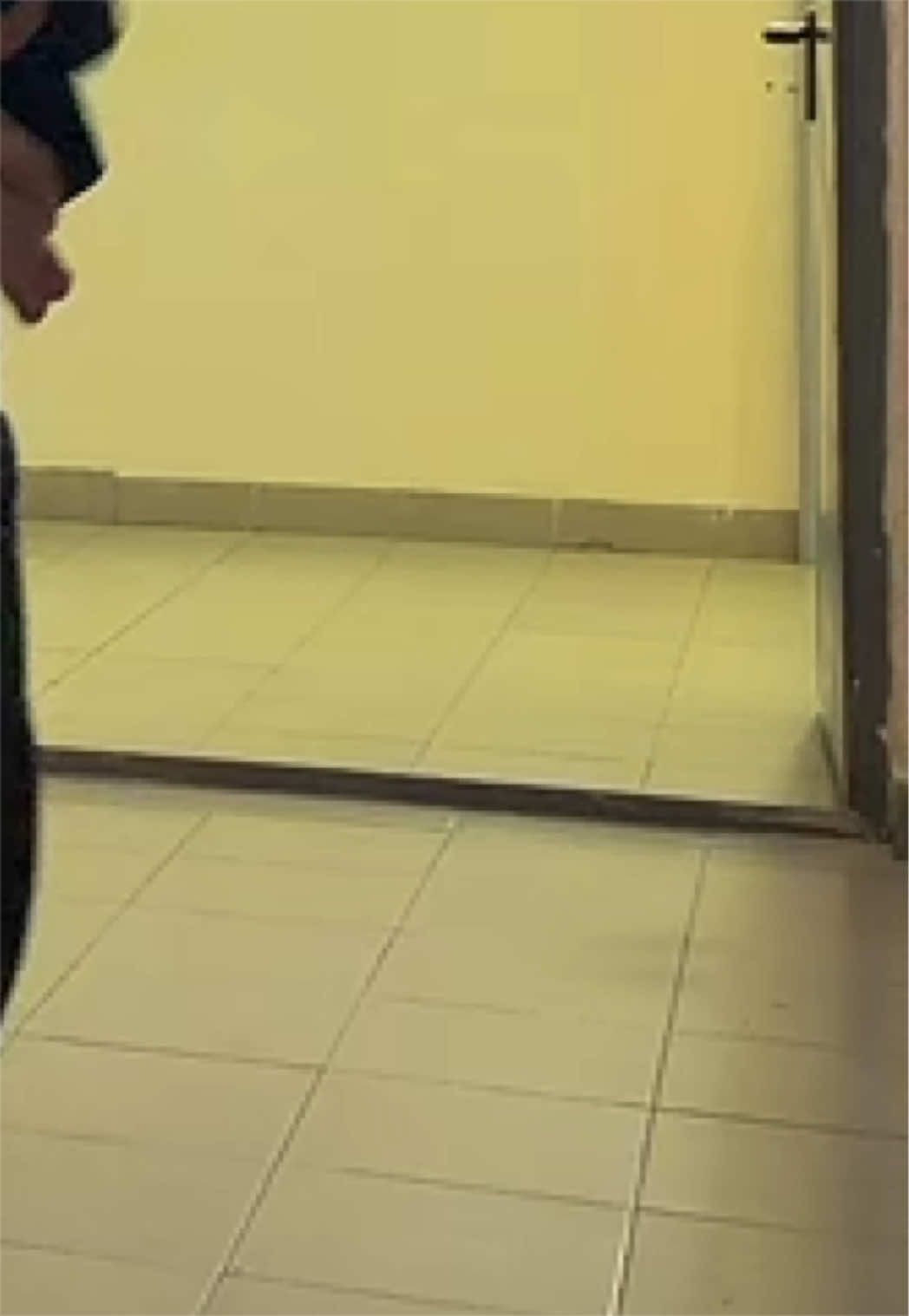 @тгк: aqulizi