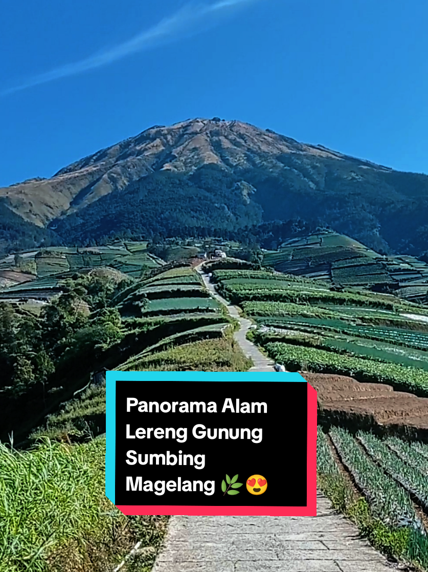 @mlampah2_57