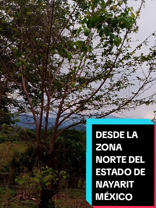 @Eliseo López