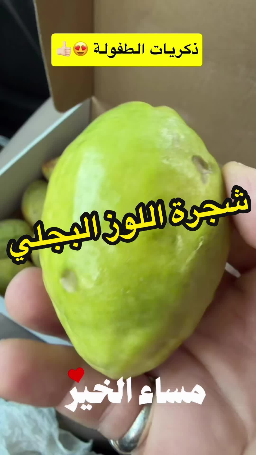 @Nabil Alayoubi