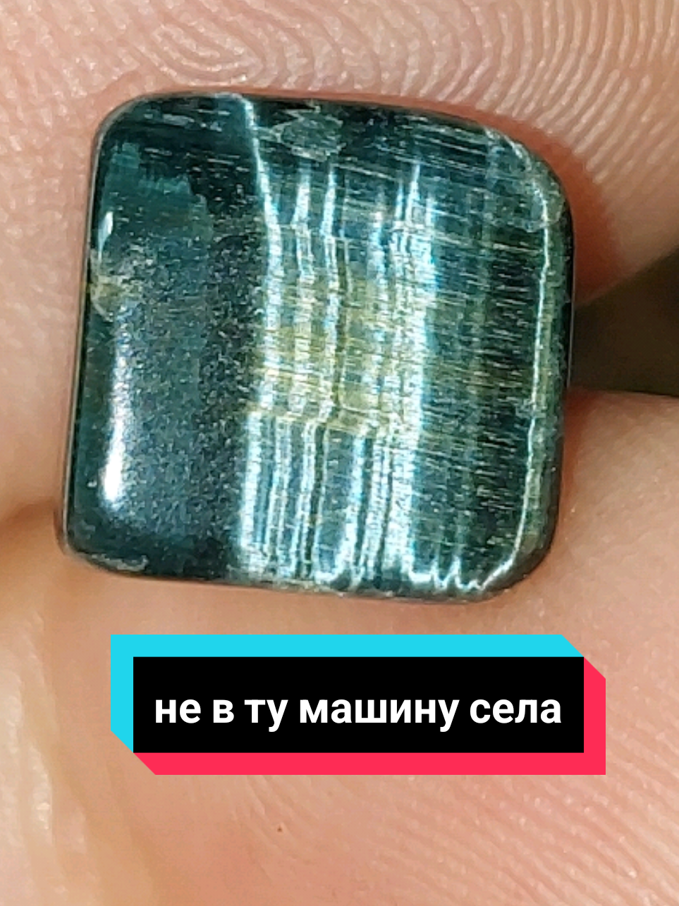 @Рыся✔️🇧🇾