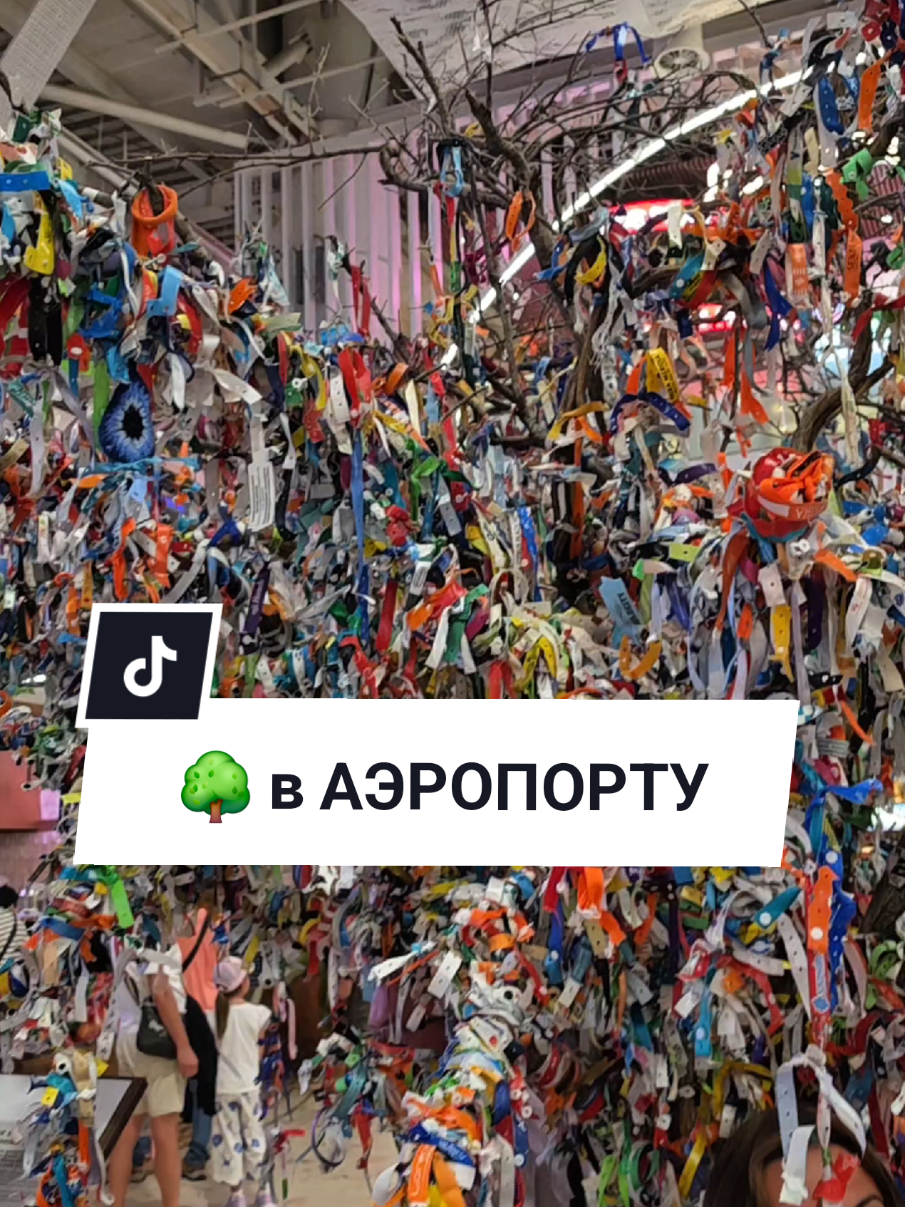 @Аня Бобруйск