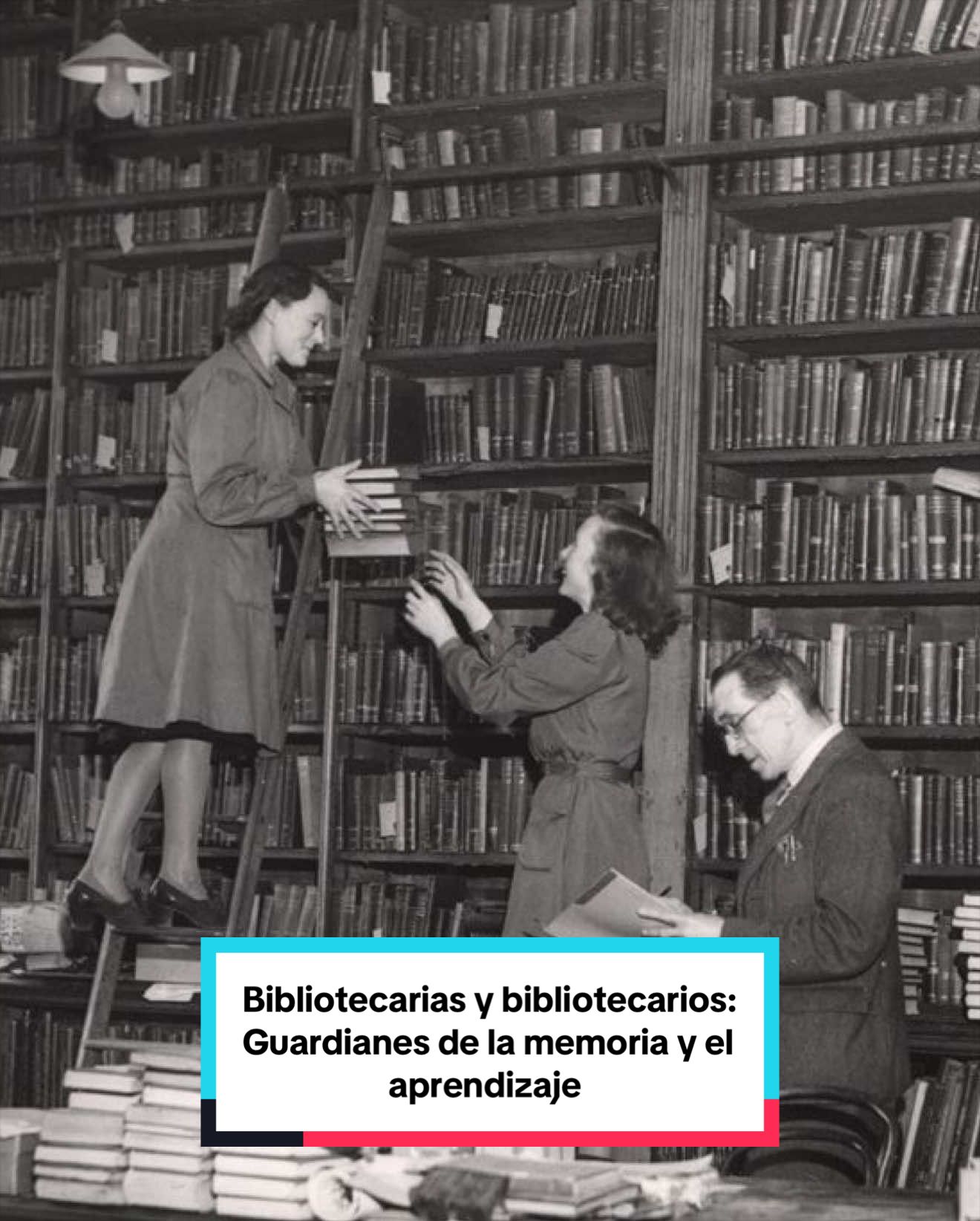 @Secretar&iacute;a de Cultura M&eacute;xico