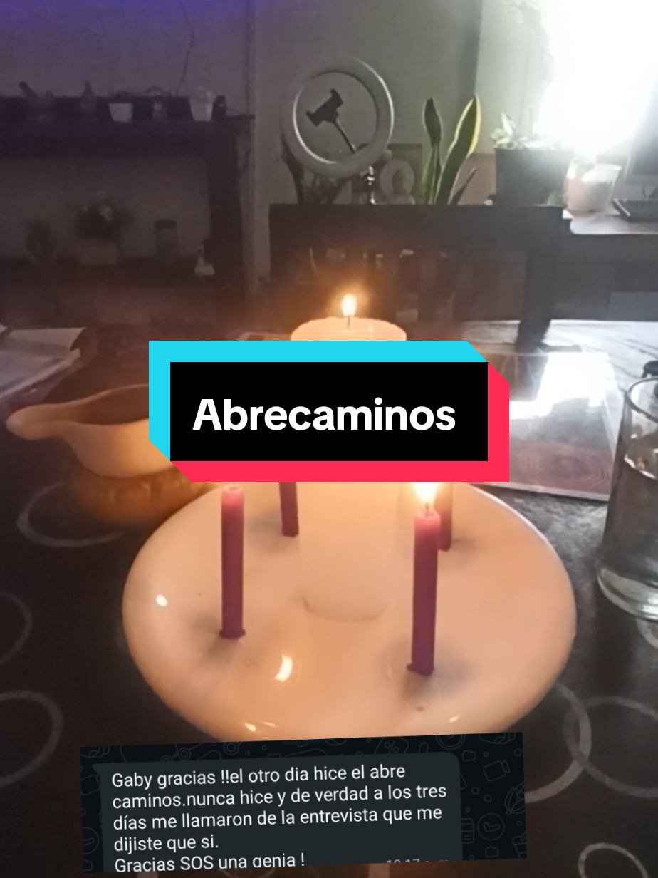 @tarot_y_renacimiento2