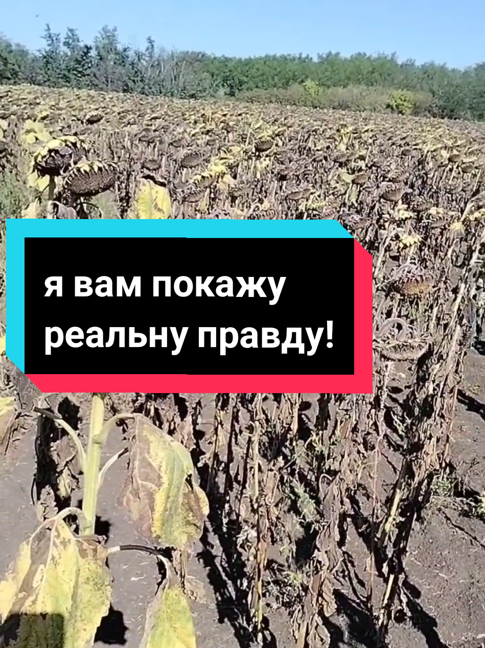 @Анатолій ТД Сварог агро