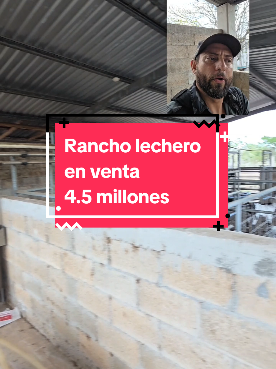 @Jose Chein - Bienes Raices