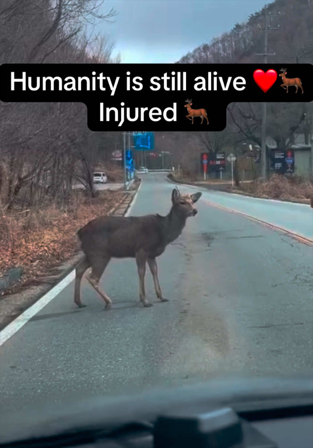@Hunzai in Japan 🇯🇵
