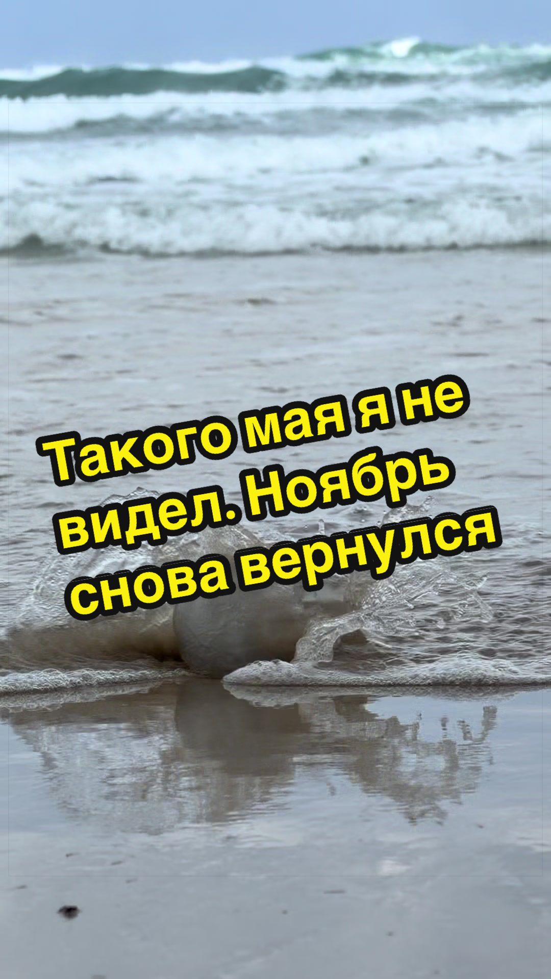 @Evgeniy Goldin