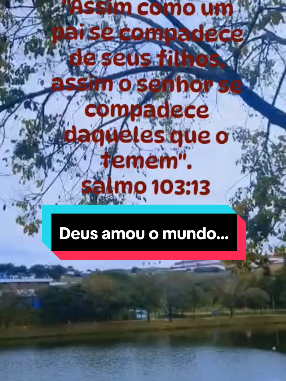 @Maria Paiva paiva