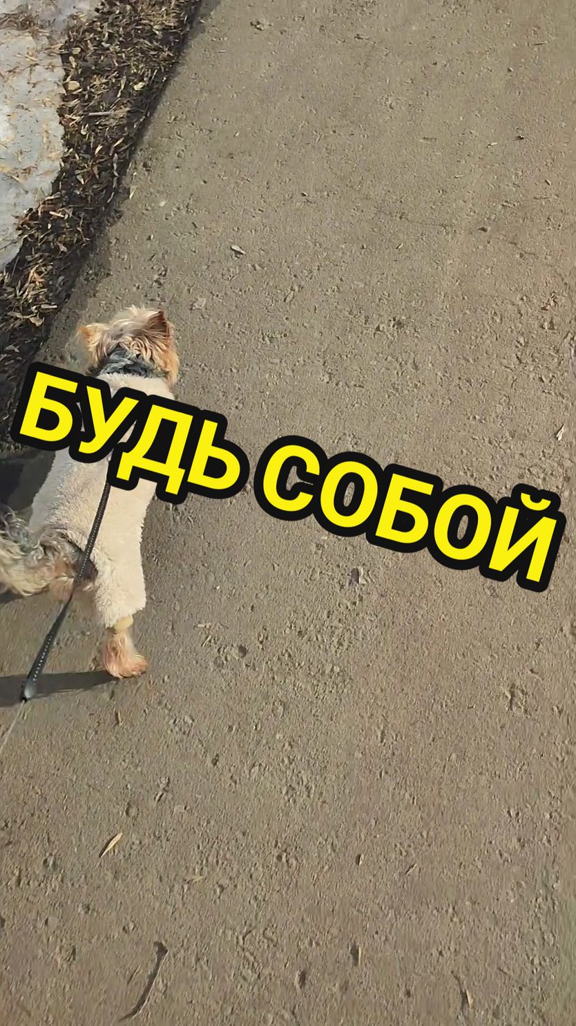 @🤟Веня Машаранский✌