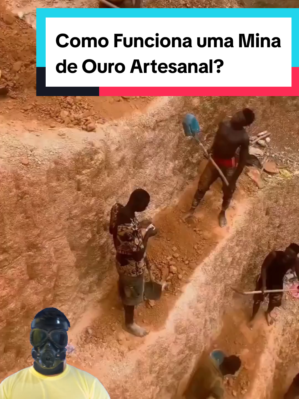 @Mundo da Curiosidades