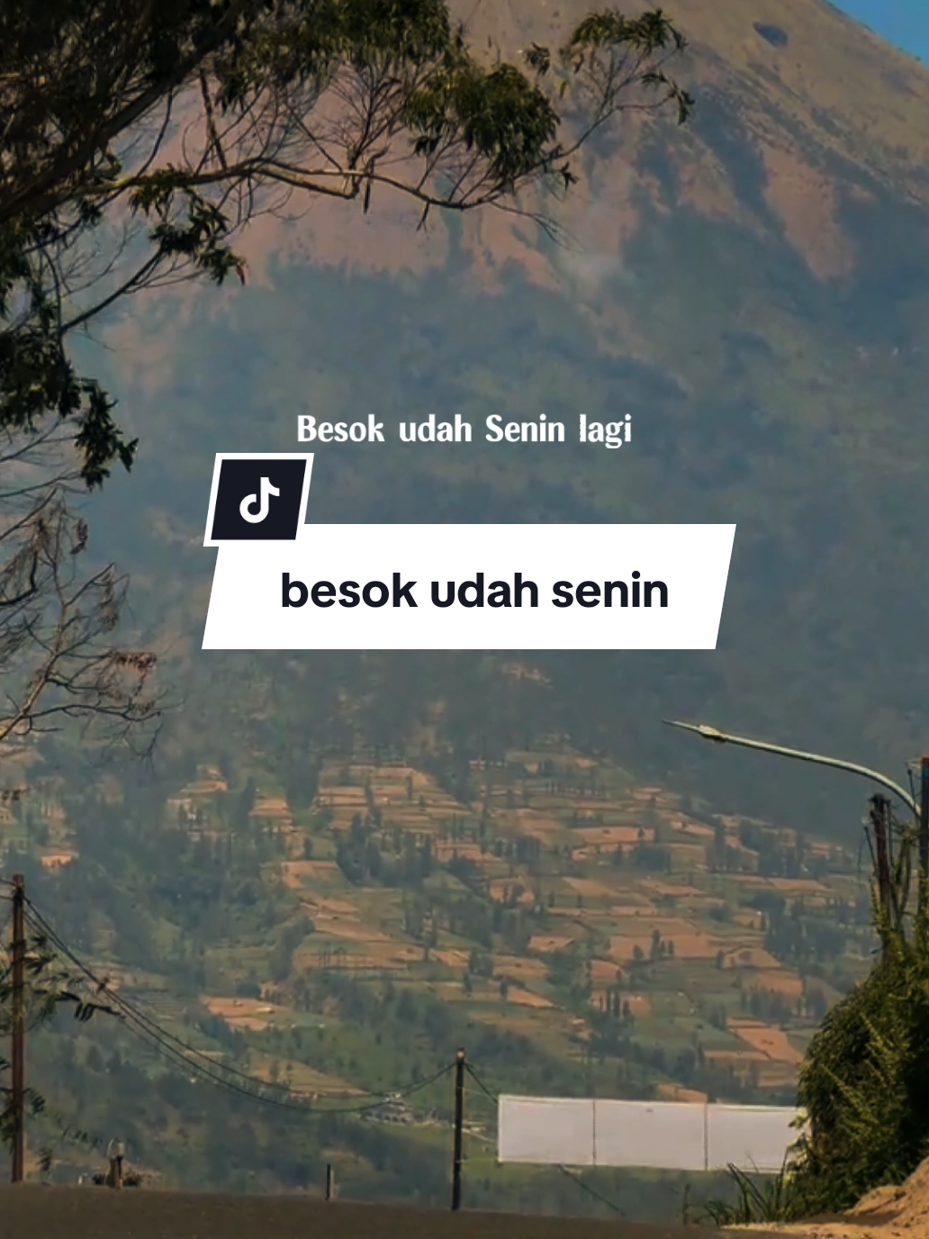 @SHY