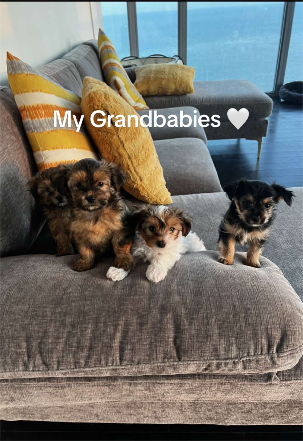 @𝓜𝓐𝓡