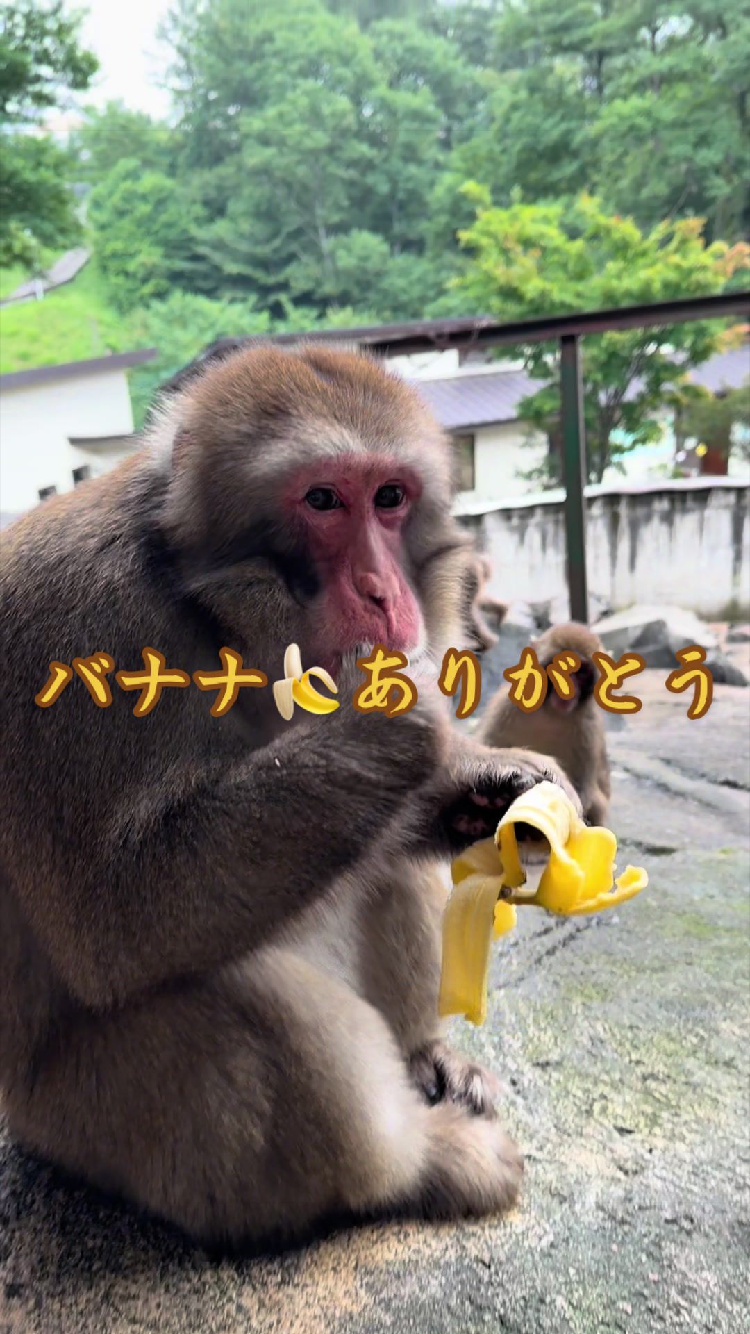 @草津熱帯圏