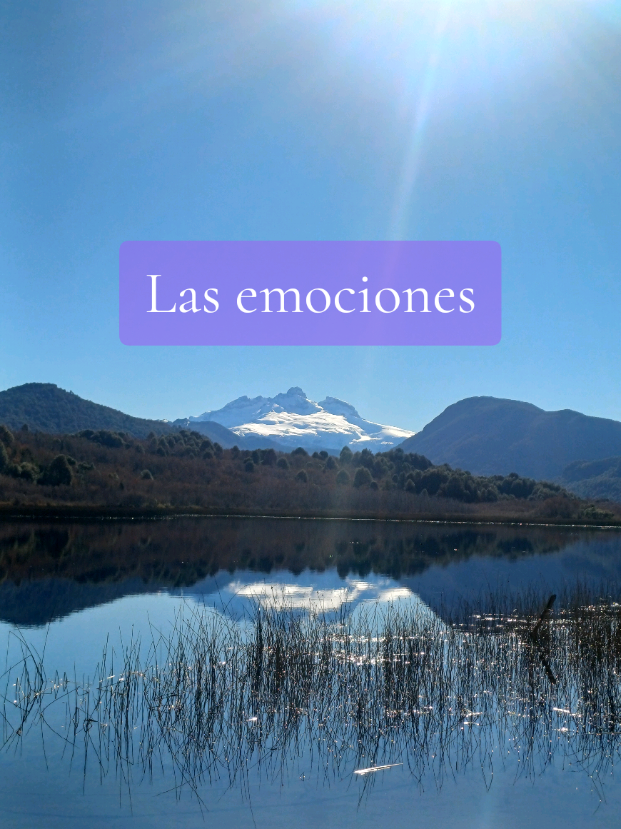 @Lic. Macarena Retamal