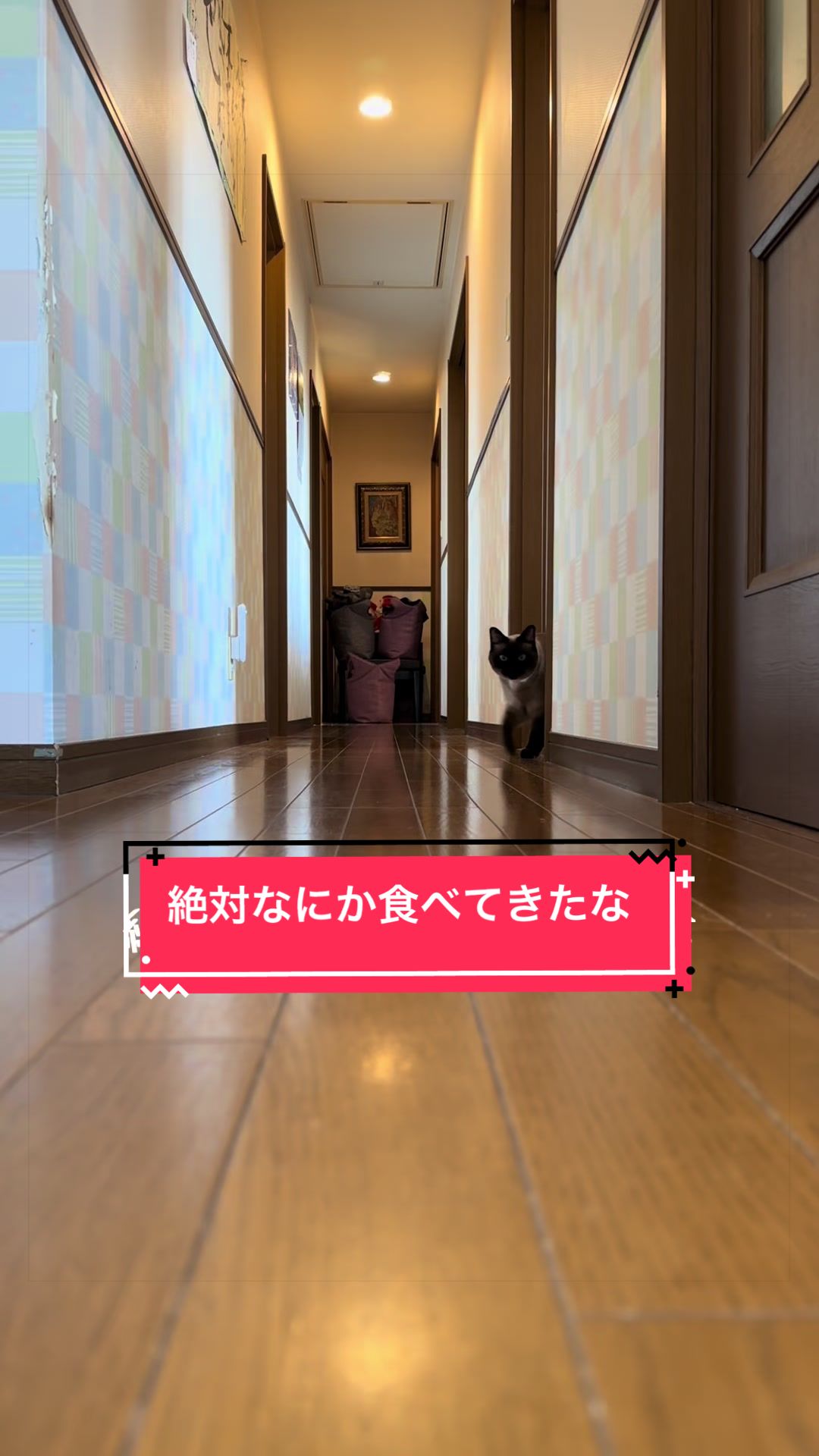 @うちのコレンジャー