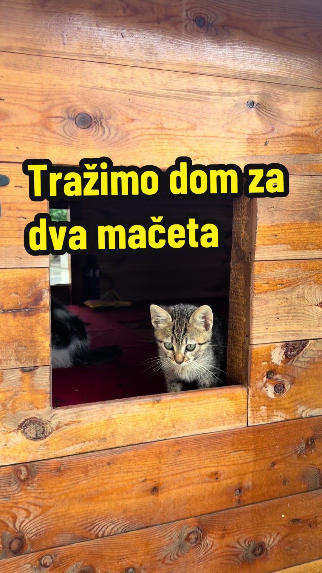 @Maja Kovijanic