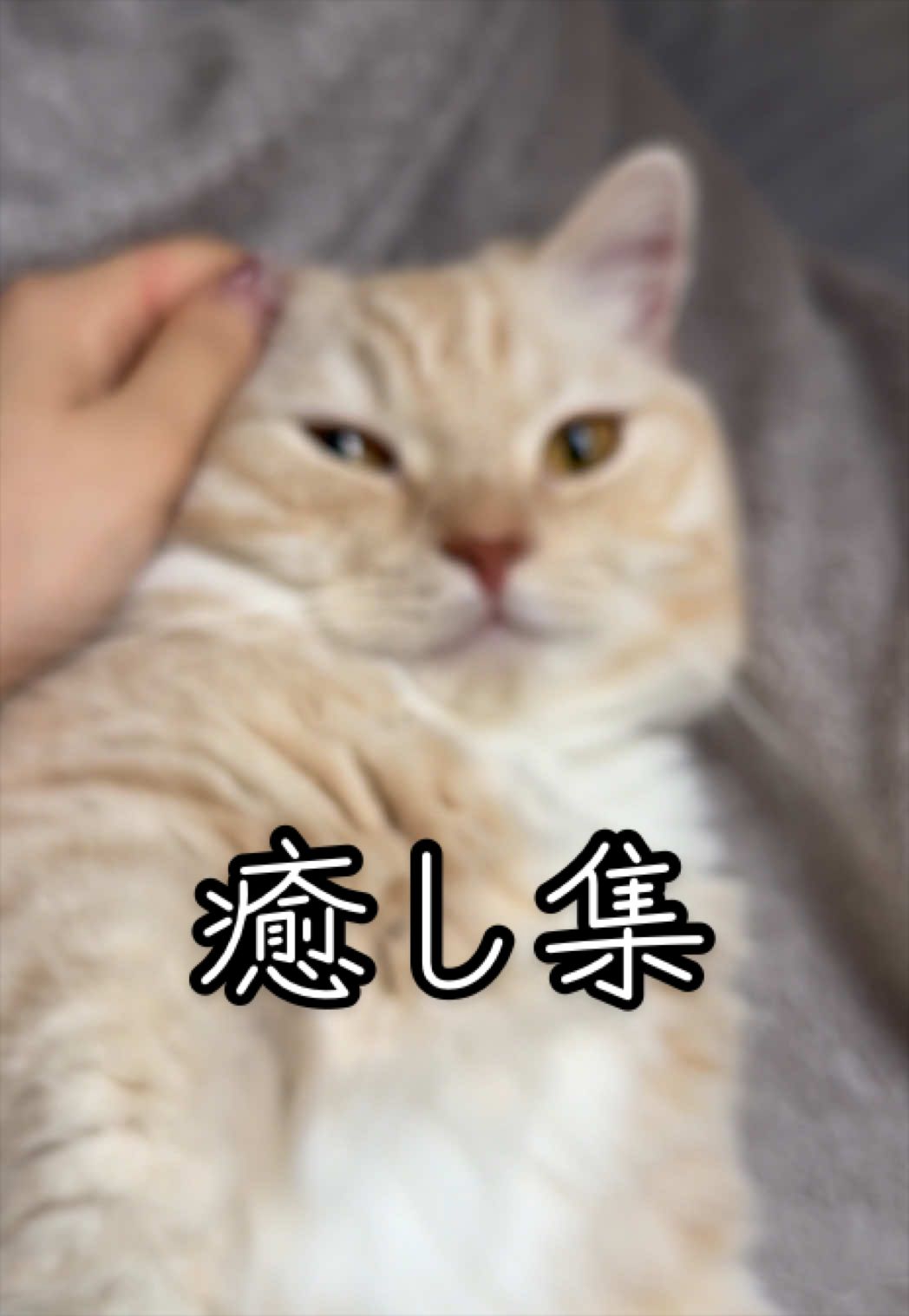 @縫くんと私