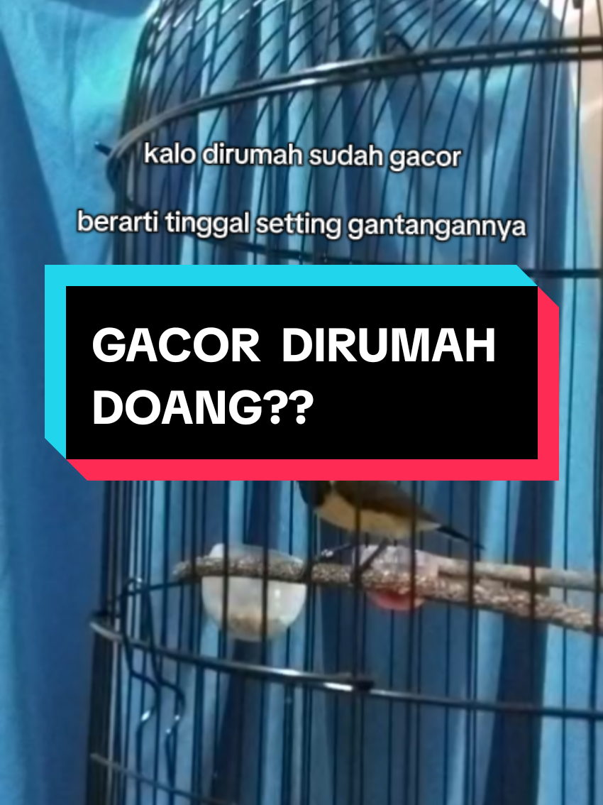 @dicky.awesome