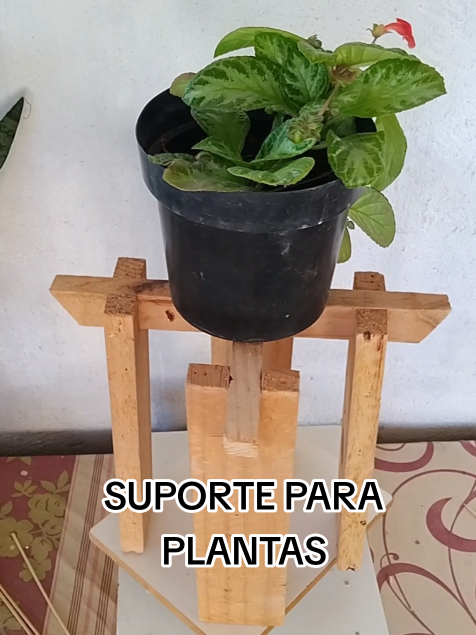 @EcoaBio - Educa&ccedil;&atilde;o Ambiental