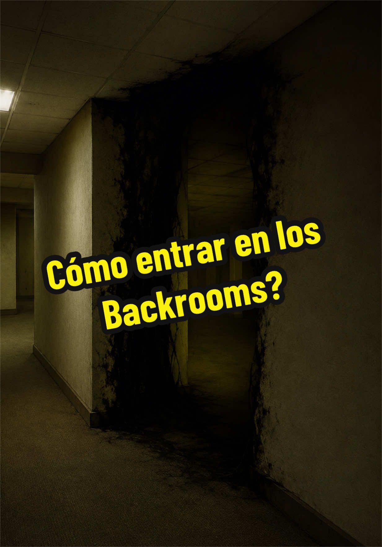 @Camila Ixchel
