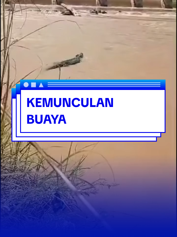 @Jepa Mandar TV