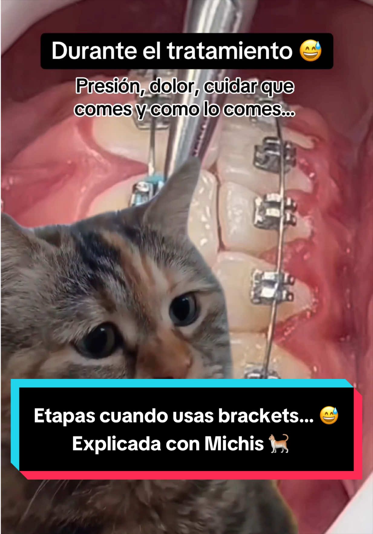 @Clínica Dental Sonrident