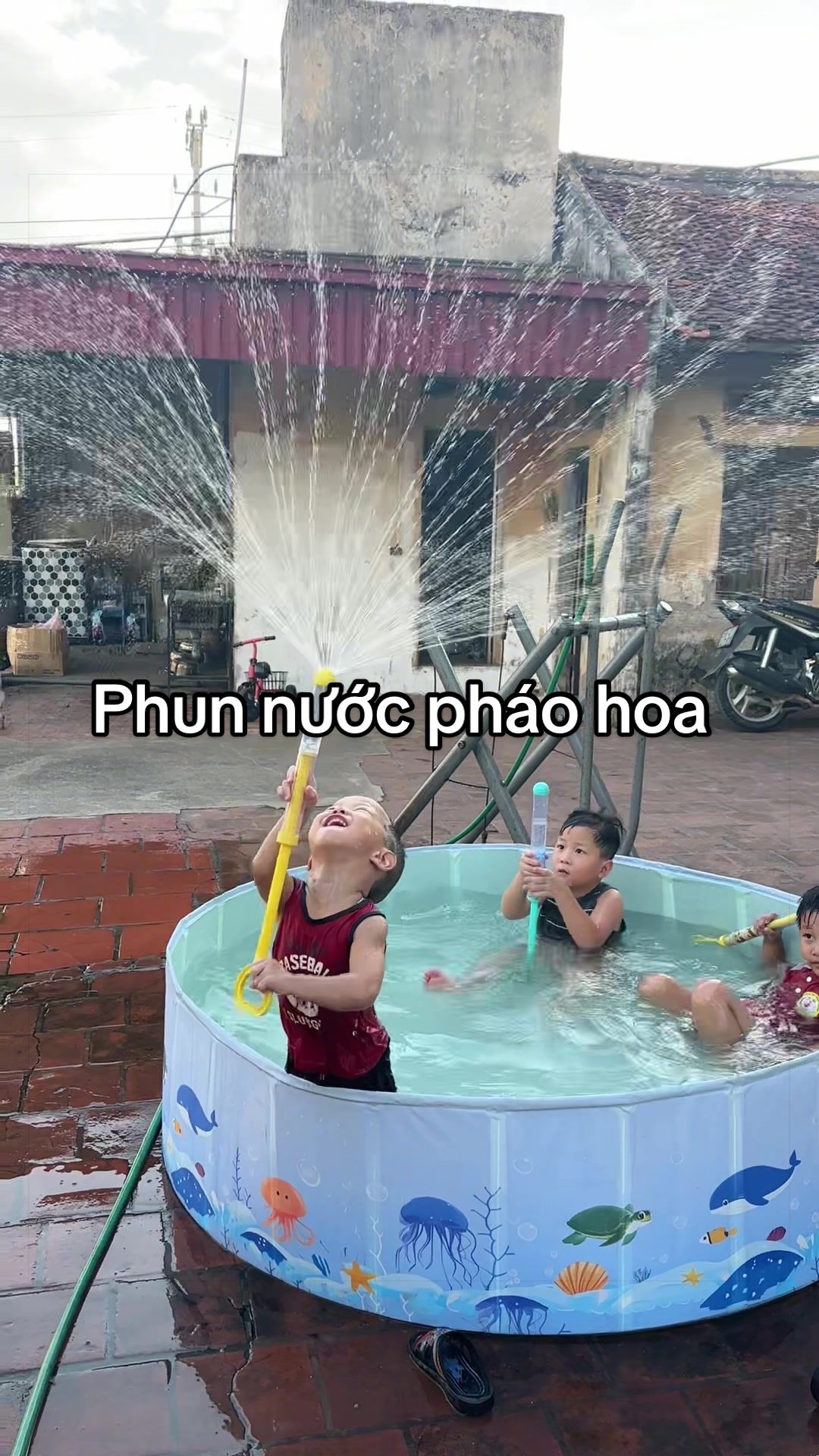 @Ngô Tâm-Mẹ Happy