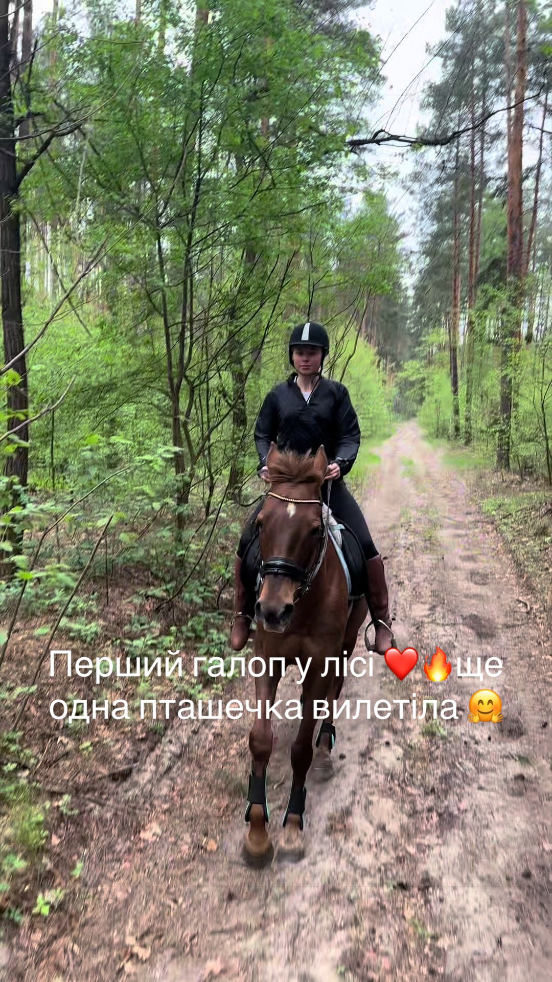 @“KK”Golden Horse