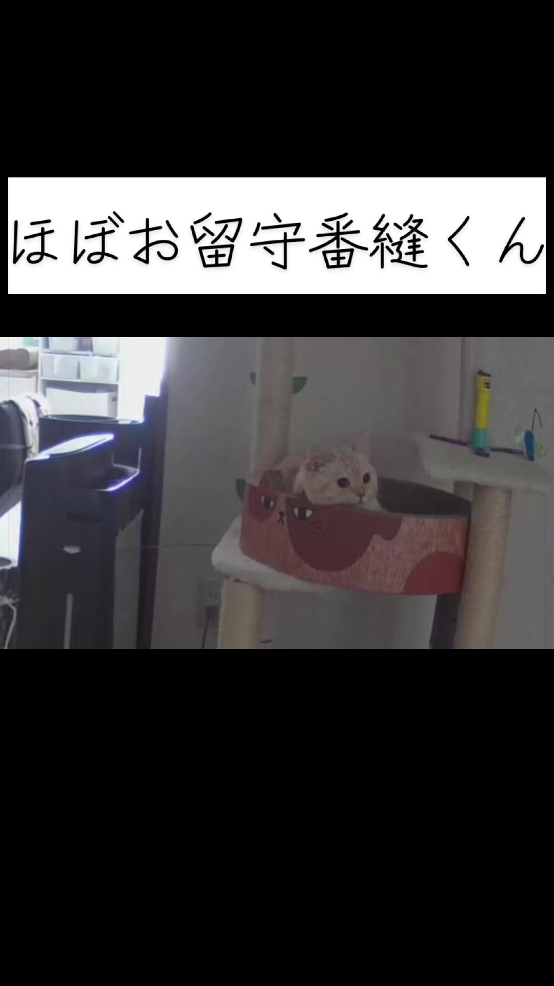 @縫くんと私