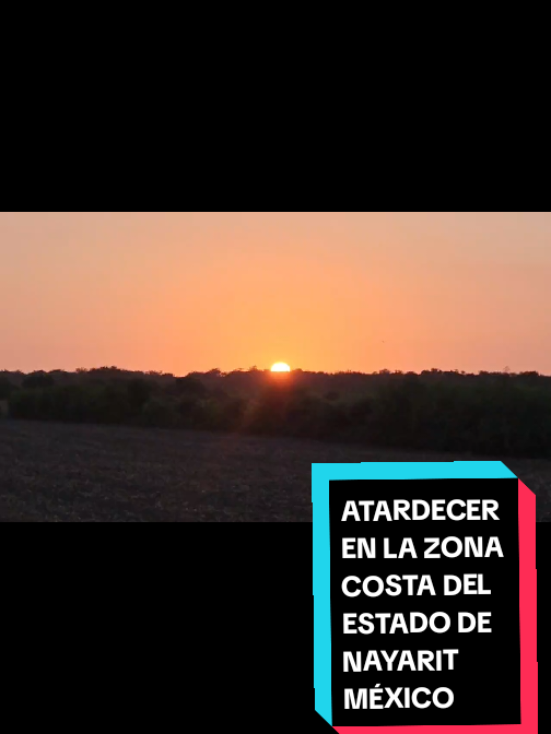 @Eliseo López